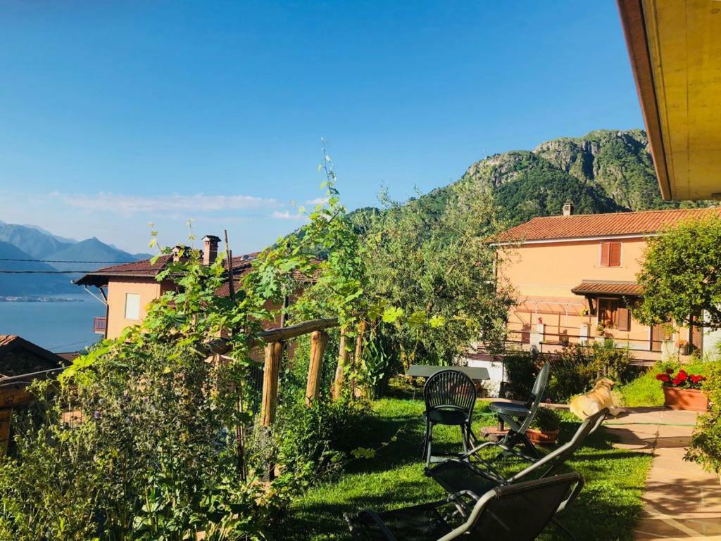 Agriturismo Botton D'Oro Dongo Exterior foto